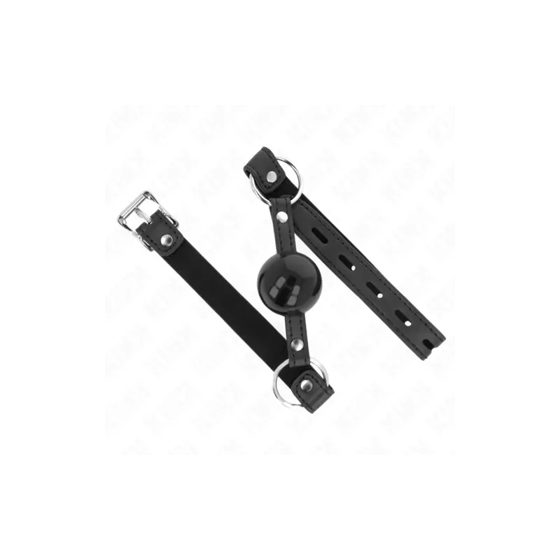 D-240862 KINK COLLAR & GAG