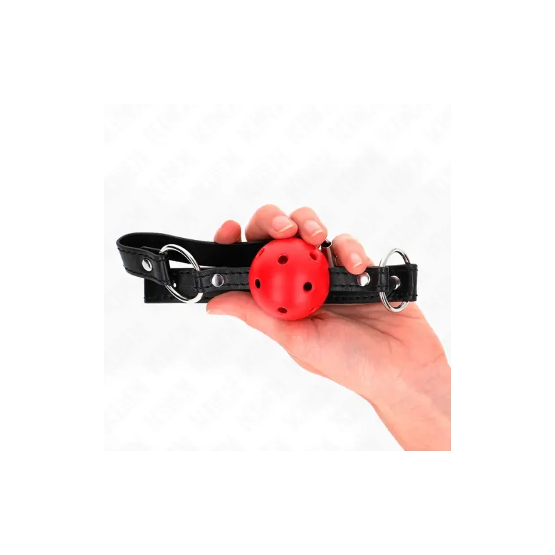 D-240836 KINK COLLAR & GAG