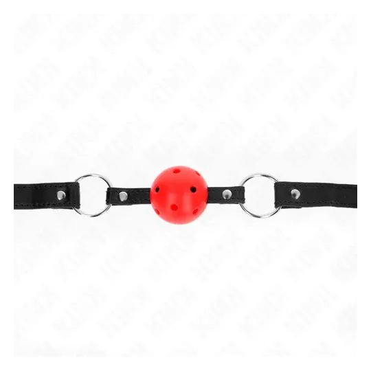D-240836 KINK COLLAR & GAG