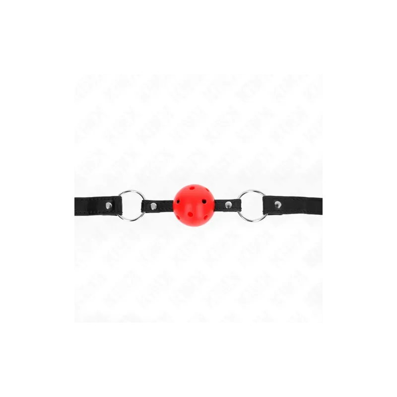 D-240836 KINK COLLAR & GAG