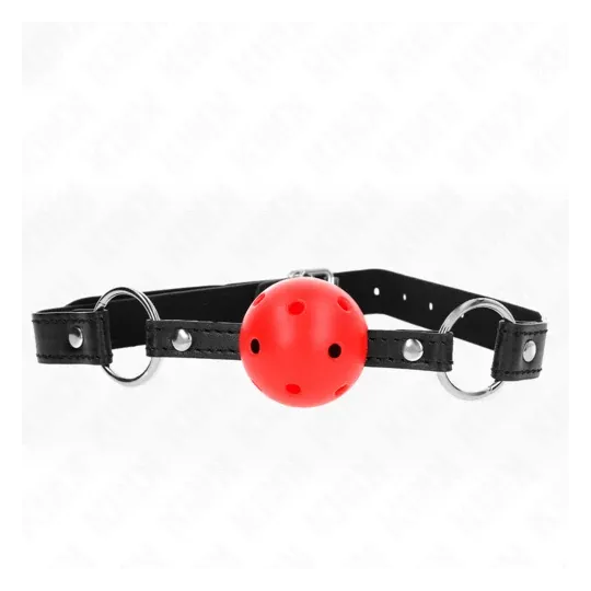 D-240836 KINK COLLAR & GAG