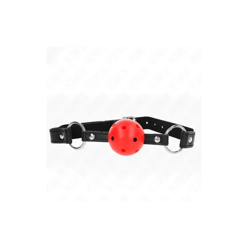 D-240836 KINK COLLAR & GAG