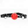 D-240836 KINK COLLAR & GAG