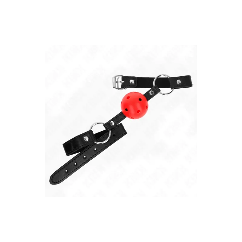 D-240836 KINK COLLAR & GAG