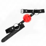 D-240836 KINK COLLAR & GAG