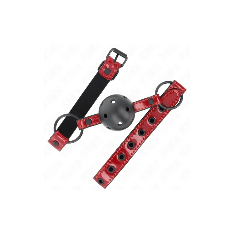 D-240835 KINK COLLAR & GAG