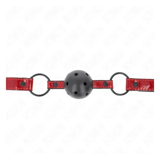 D-240835 KINK COLLAR & GAG