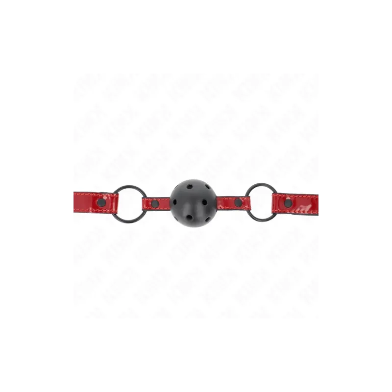 D-240835 KINK COLLAR & GAG