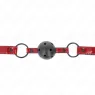 D-240835 KINK COLLAR & GAG