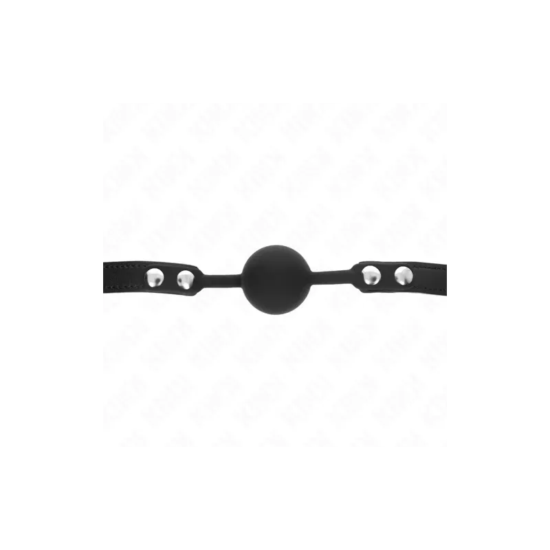 D-240880 KINK COLLAR & GAG