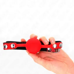 D-240882 KINK COLLAR & GAG