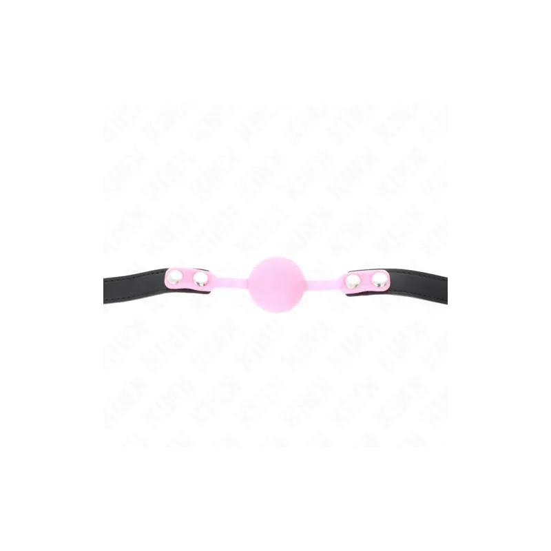 D-240879 KINK COLLAR & GAG