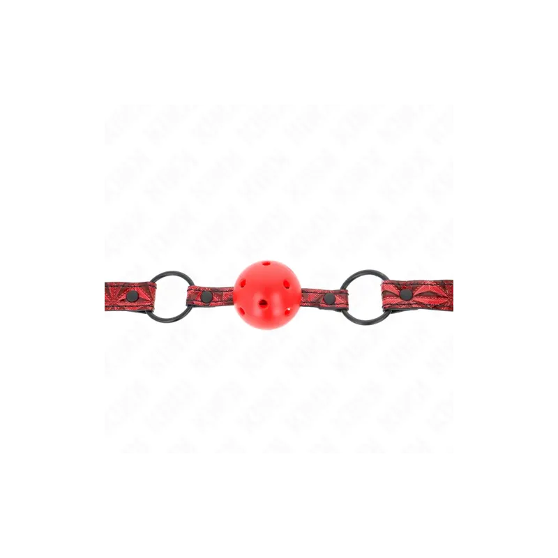 D-240849 KINK COLLAR & GAG