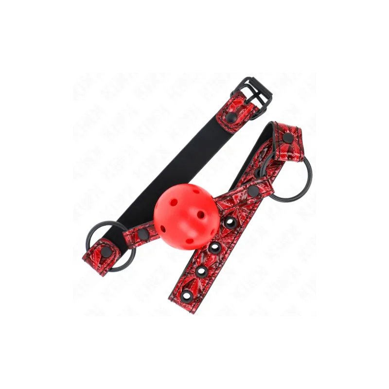 D-240849 KINK COLLAR & GAG