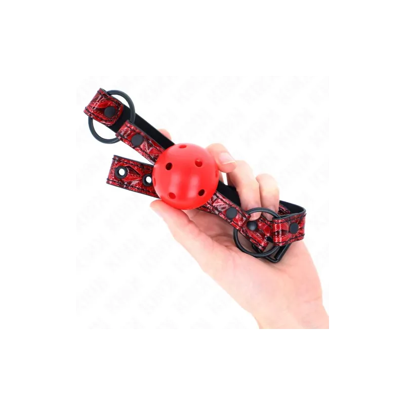 D-240849 KINK COLLAR & GAG