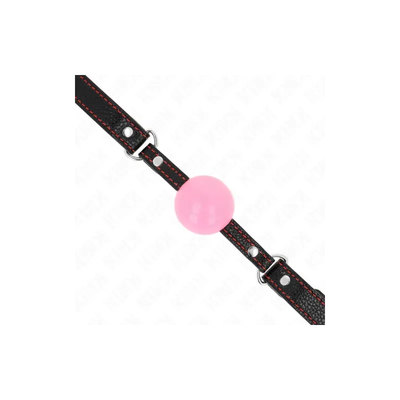 D-240861 KINK COLLAR & GAG