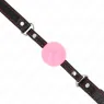 D-240861 KINK COLLAR & GAG