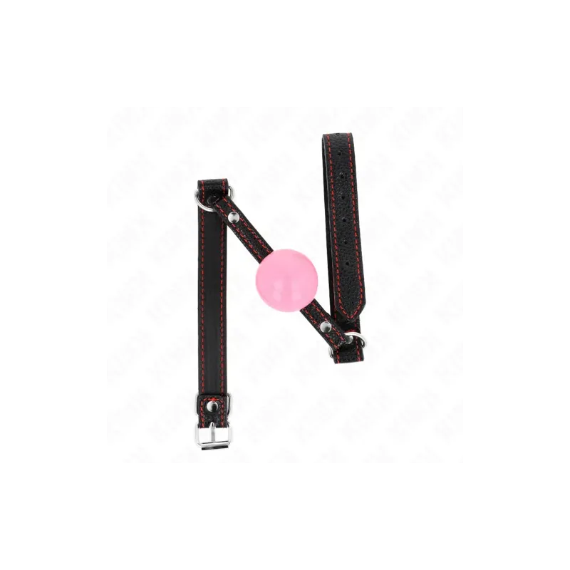 D-240861 KINK COLLAR & GAG