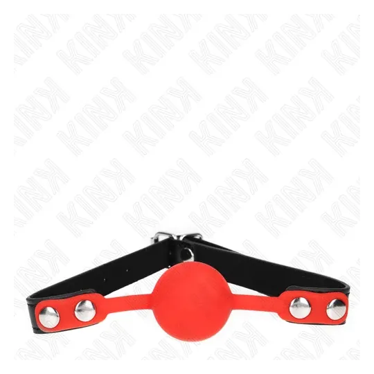 D-240877 KINK COLLAR & GAG