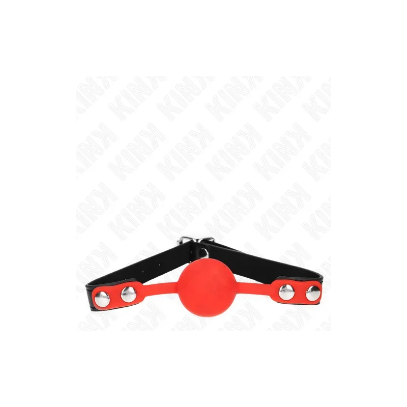 D-240877 KINK COLLAR & GAG