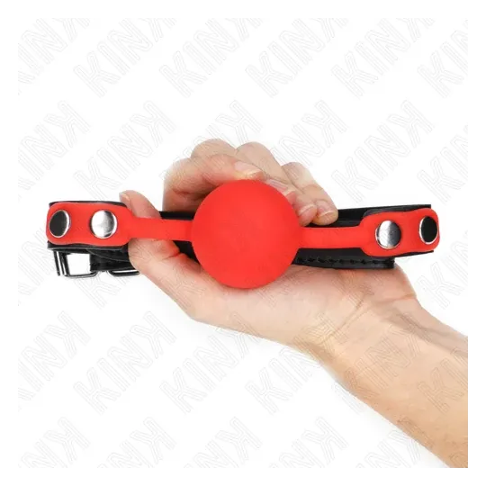 D-240877 KINK COLLAR & GAG