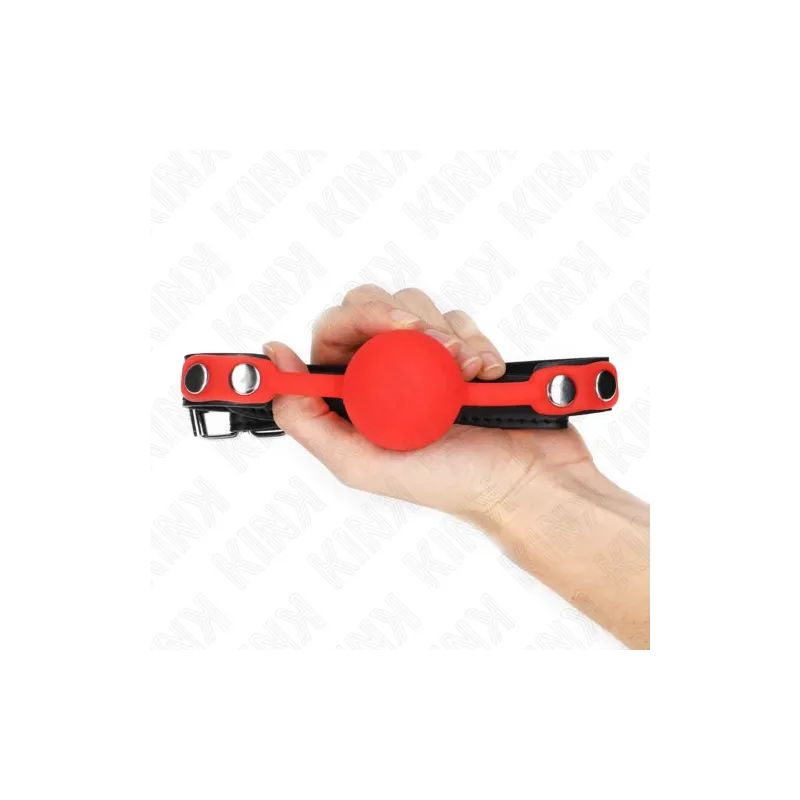 D-240877 KINK COLLAR & GAG