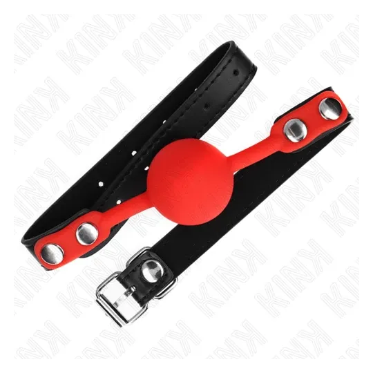 D-240877 KINK COLLAR & GAG