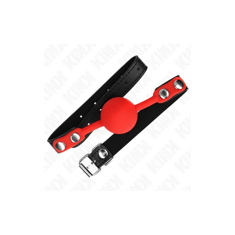 D-240877 KINK COLLAR & GAG