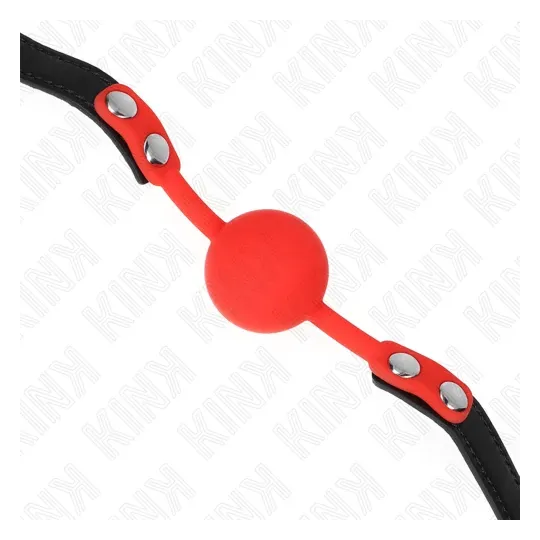 D-240877 KINK COLLAR & GAG