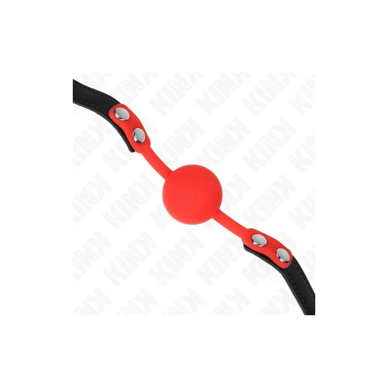 D-240877 KINK COLLAR & GAG