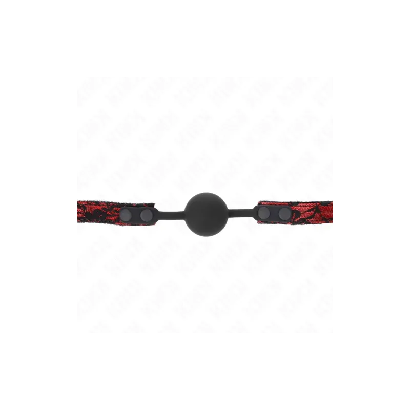 D-240874 KINK COLLAR & GAG