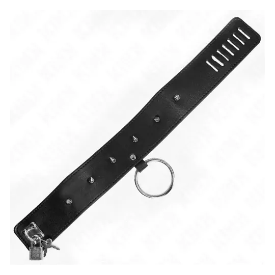 D-240776 KINK COLLAR & GAG