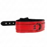 D-240754 KINK COLLAR & GAG