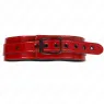 D-240754 KINK COLLAR & GAG