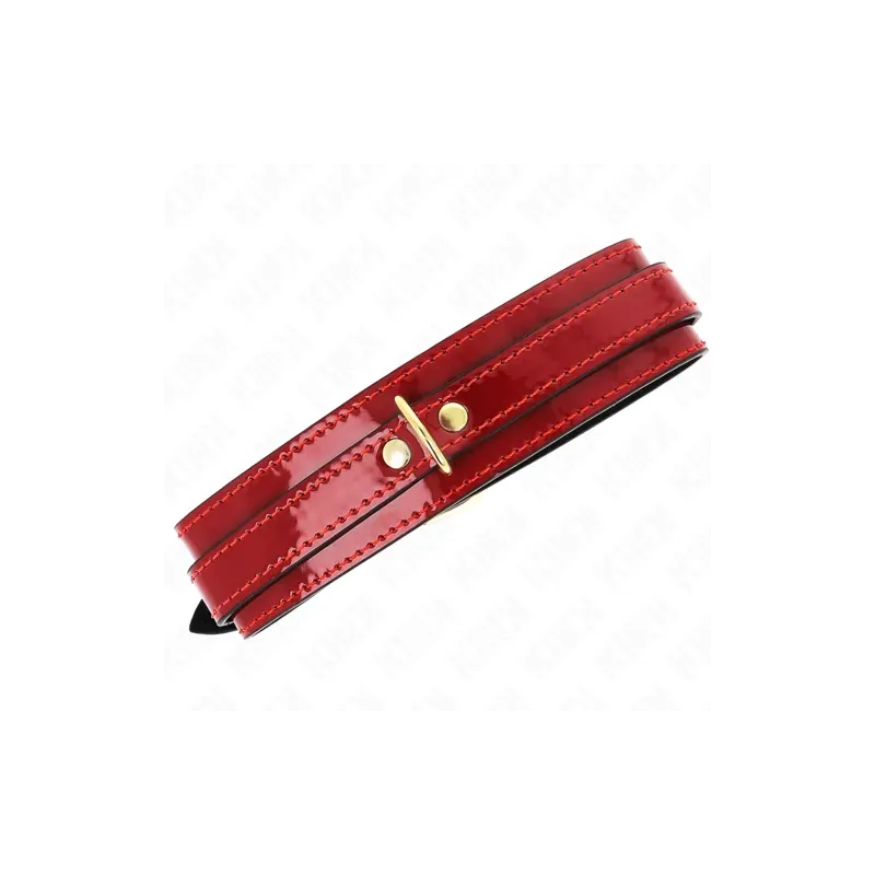 D-240755 KINK COLLAR & GAG