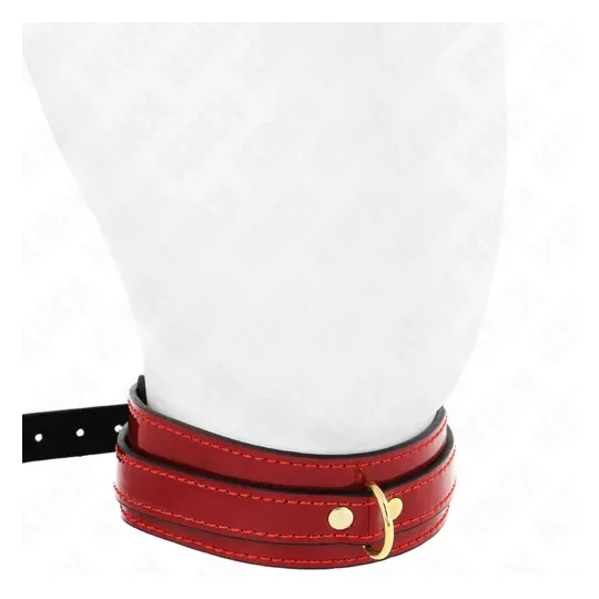 D-240755 KINK COLLAR & GAG