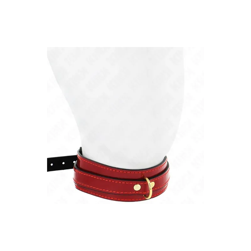 D-240755 KINK COLLAR & GAG