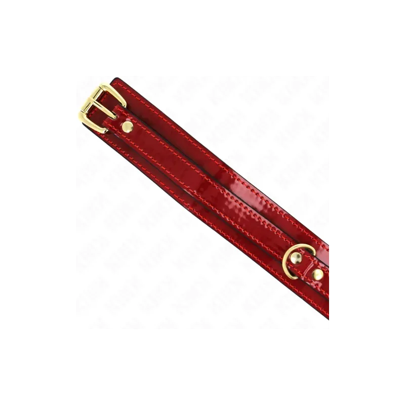 D-240755 KINK COLLAR & GAG