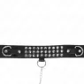 D-240798 KINK COLLAR & GAG