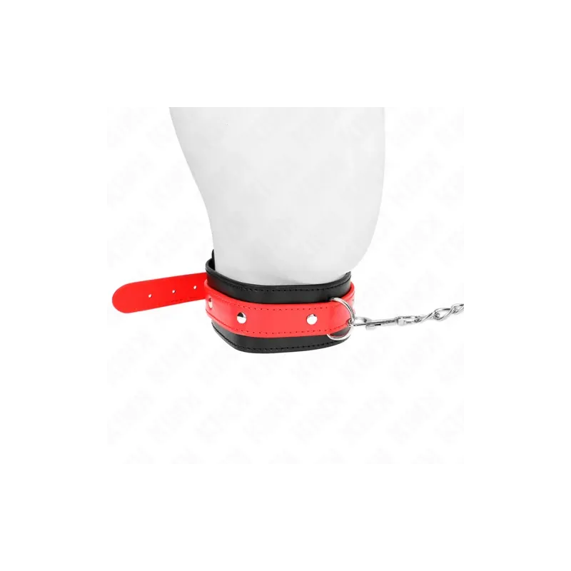 D-240809 KINK COLLAR & GAG