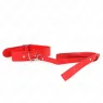 D-240764 KINK COLLAR & GAG