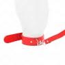 D-240764 KINK COLLAR & GAG