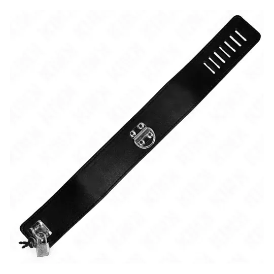 D-240770 KINK COLLAR & GAG
