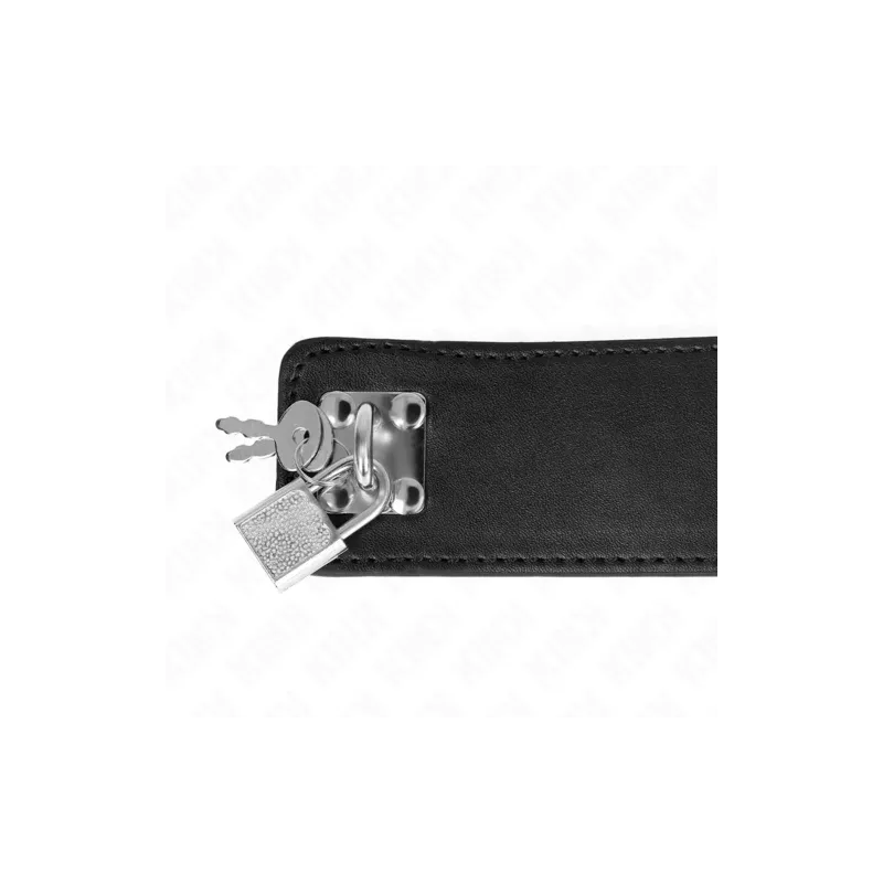 D-240761 KINK COLLAR & GAG