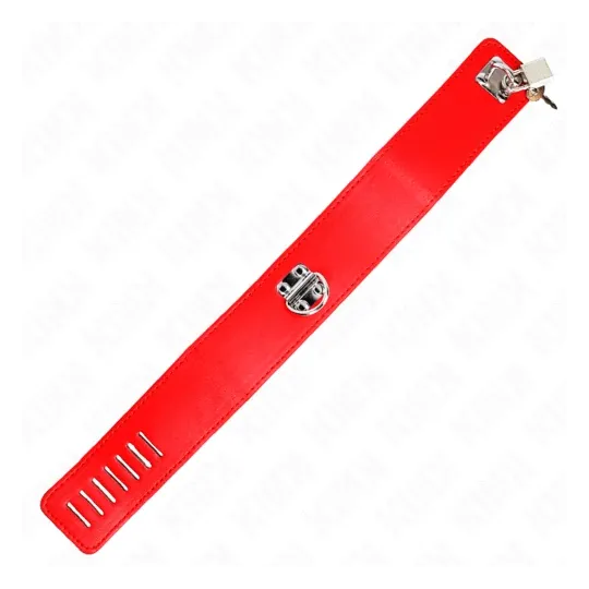 D-240762 KINK COLLAR & GAG