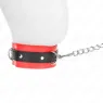 D-240789 KINK COLLAR & GAG