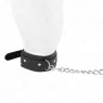 D-240791 KINK COLLAR & GAG