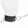 D-240793 KINK COLLAR & GAG