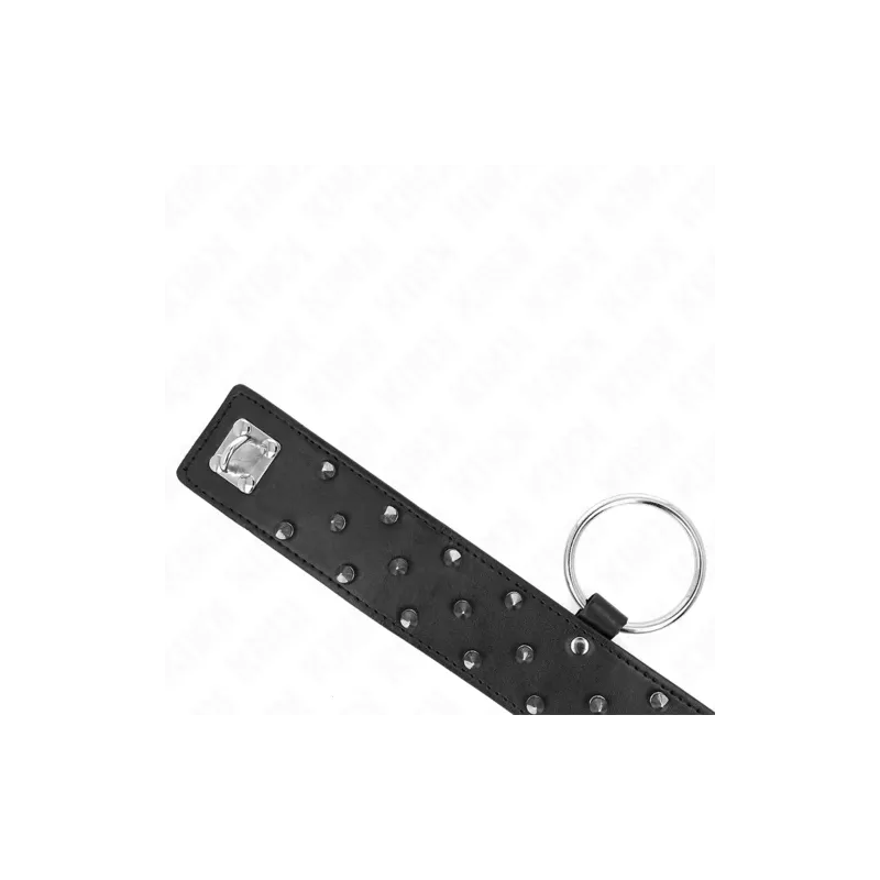 D-240788 KINK COLLAR & GAG