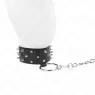 D-240788 KINK COLLAR & GAG